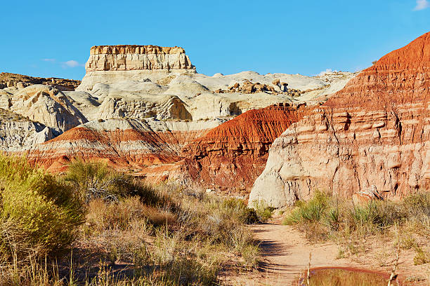 istock Painted Desert national park in Arizona 509614574