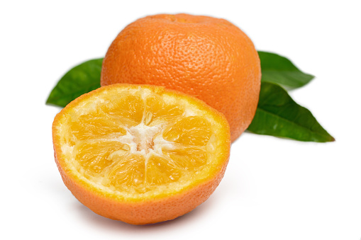 Bitter Orange isolated on white