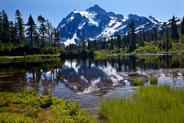 istock Picture Lake Mount Shuksan Washington State 509614691