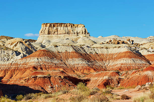 istock Painted Desert national park in Arizona 509614760