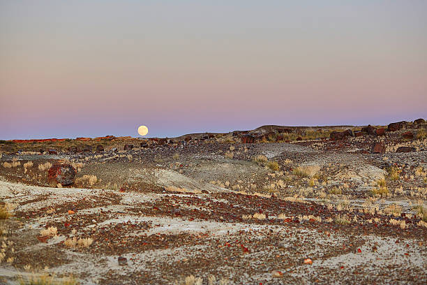 istock Scenic landscape in Petrified forest national park 509615760