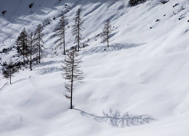istock Winter landscape in the mountains 509616786