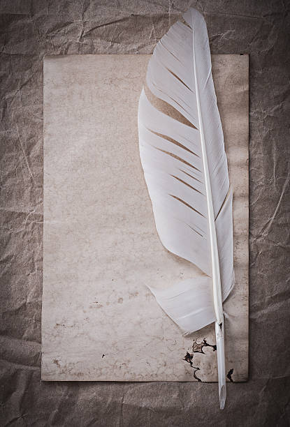 istock Vintage blank sheet feather on crumpled wrapping paper 509617274