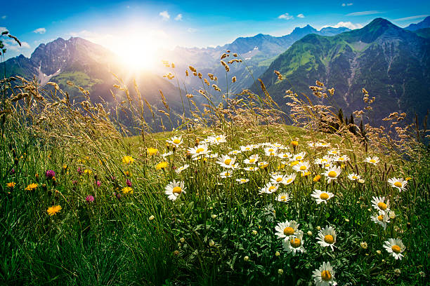 paisagem de montanhas vorarlberg - tirol - fotografias e filmes do acervo