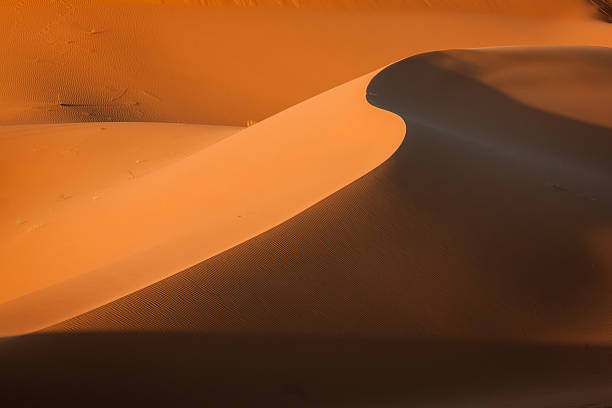 istock Sand dunes in the Sahara Desert, Merzouga, Morocco 509620696