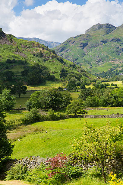 istock Langdale Valley Lake District Cumbria with mountains and blue sky 509624645