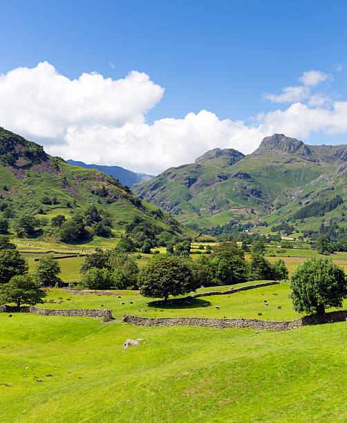 istock Langdale Valley Lake District Cumbria with mountains and blue sky 509624647