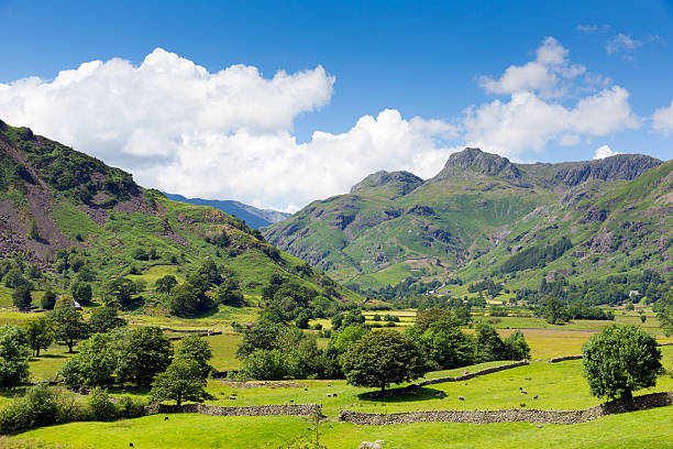 istock Langdale Valley Lake District Cumbria with mountains and blue sky 509625019