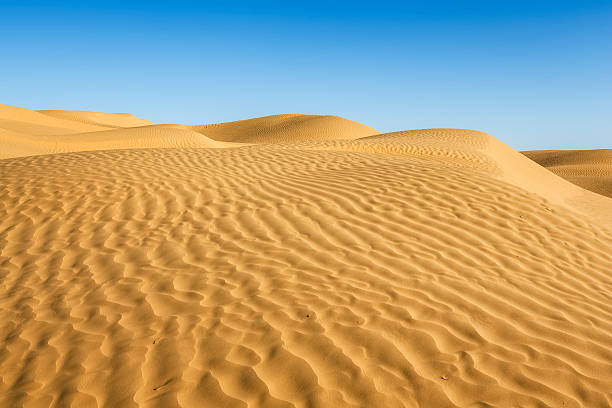 istock Sand dune on Sahara Desert , Grand Erg Oriental , Tunisia 509625780