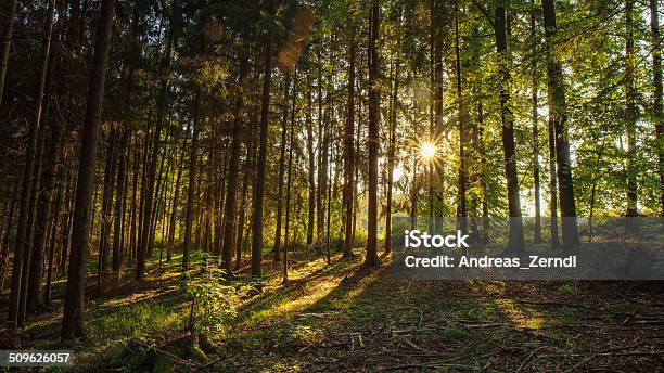 Indian Summer Stock Photo - Download Image Now - Autumn, Bavaria, Beauty