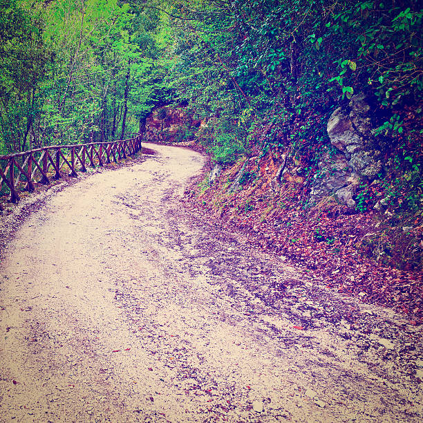 chemin de terre - footpath european alps fence woods photos et images de collection