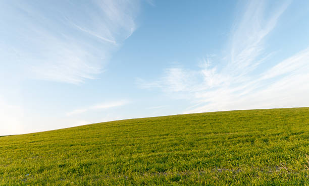 istock Green field and Blue cloudy Sky Environment 509626540