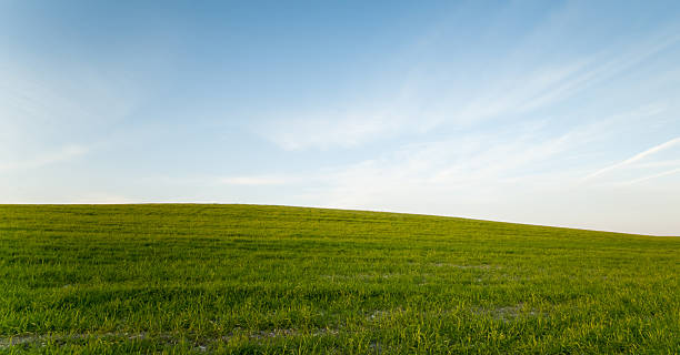 istock Green field and Blue cloudy Sky Environment 509626590