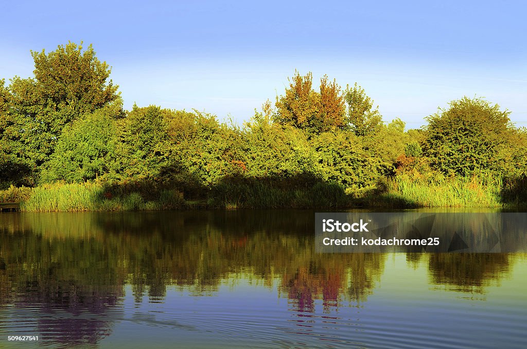 lago - Foto stock royalty-free di Acqua