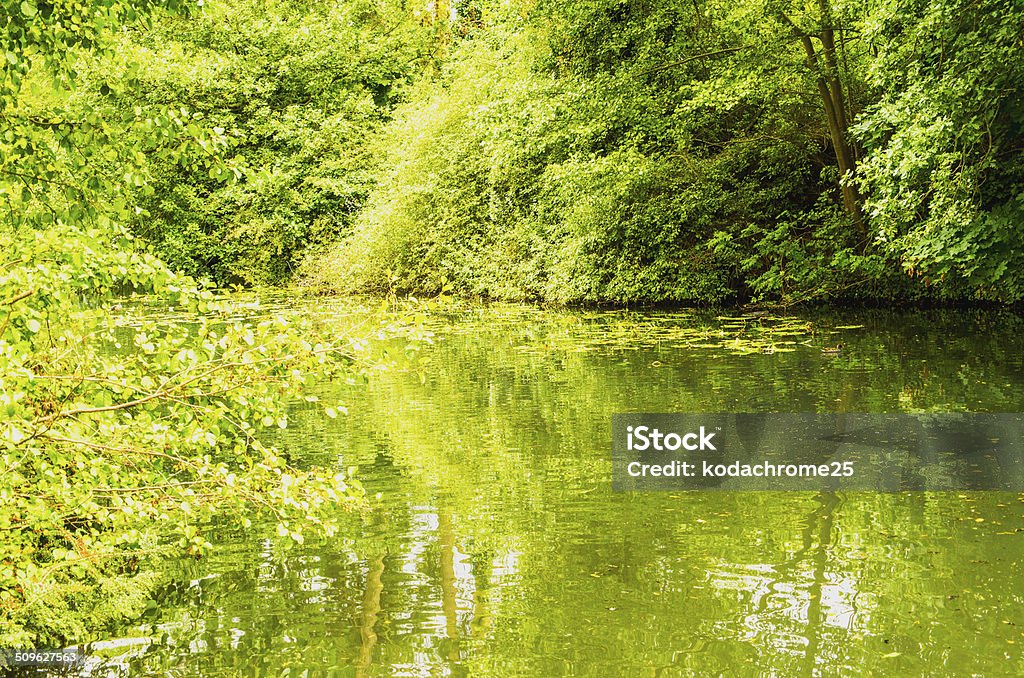 lago - Foto de stock de Agua libre de derechos