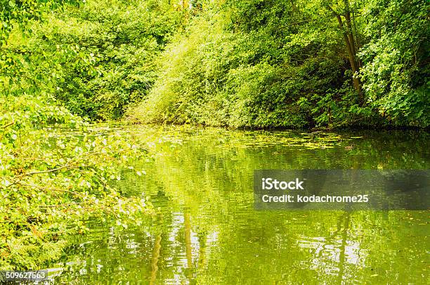 Lago Foto de stock y más banco de imágenes de Agua - Agua, Agua estancada, Aire libre