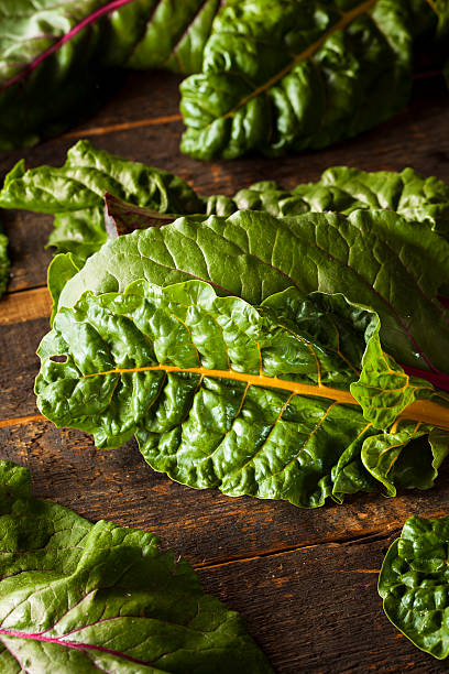istock Raw Organic Rainbow Swiss Chard 509628539