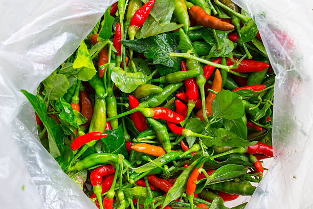 istock Fresh guinea pepper in plastic bag 509628769