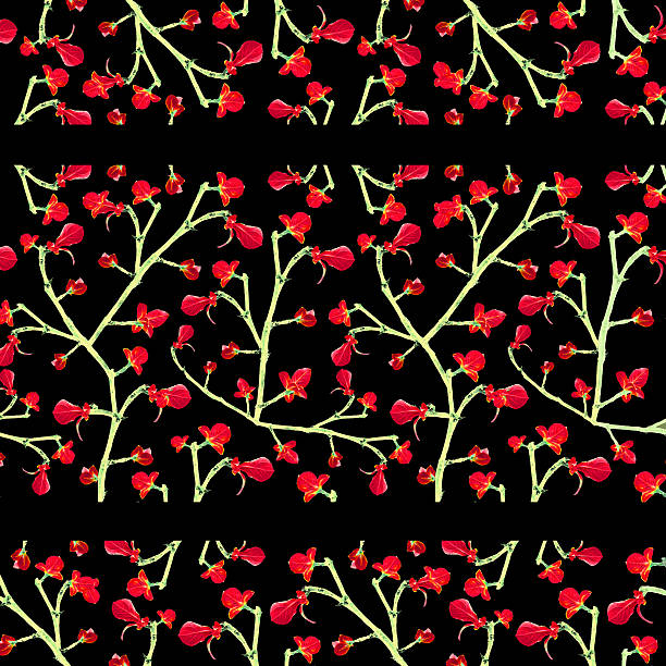 Floral Lace Stripes Pattern Digital collage technique floral lace motif pattern in orange and white colors against black background. digital composite nobody floral pattern flower stock illustrations