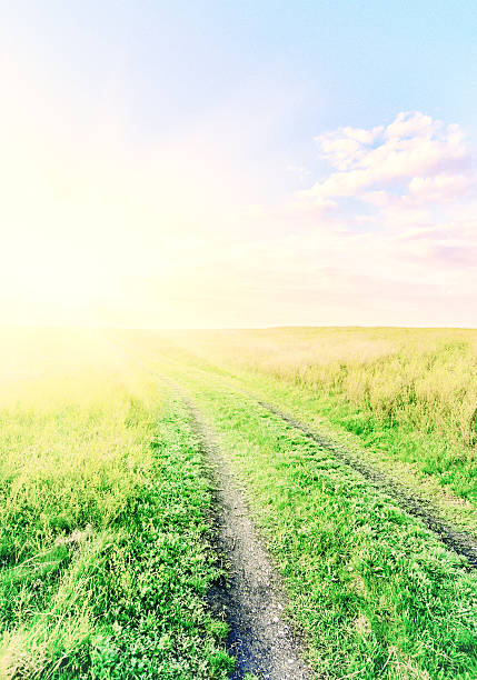 istock vintage road through fields with green grass and blue sky 509629371