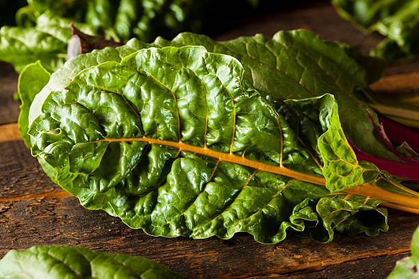 istock Raw Organic Rainbow Swiss Chard 509629383