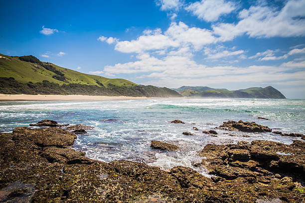 South Africa - January 22 2015: The beauty of the Umngazi River mouth