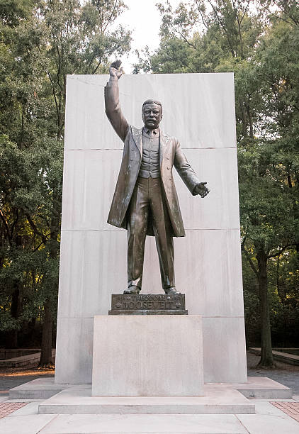 istock Theodore Roosevelt Island 509629878