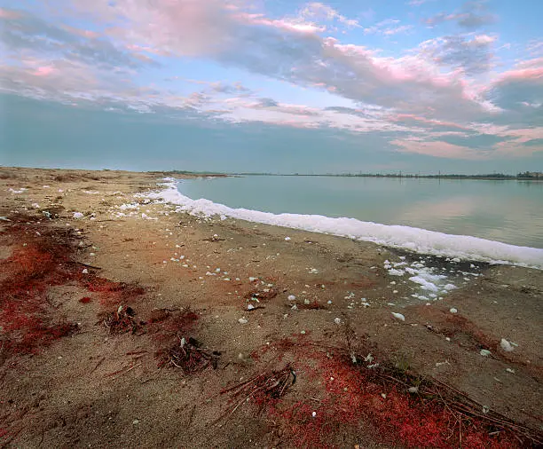 Photo of production of therapeutic mud, natural summer landscape