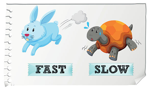 ilustrações de stock, clip art, desenhos animados e ícones de oposto os adjectivos rápido e lento - the hare and the tortoise