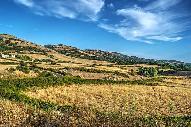 istock yellow field and blue sky 509632574