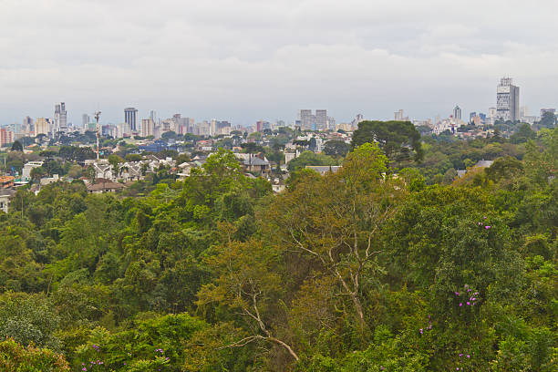 istock Forest and Cityscape of Curitiba 509635508