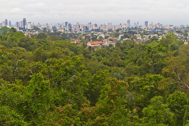istock Forest and Cityscape of Curitiba 509635538