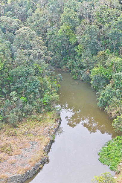 istock Lake and forest at Tangua Park in Curitiba 509635652