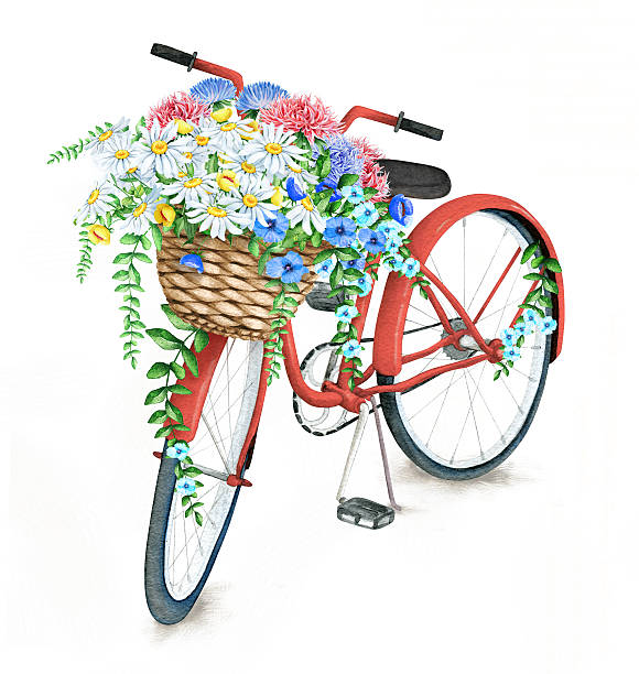 水彩レッドの自転車とフラワーバスケットが美しい - bicycle isolated white background cycling点のイラスト素材／クリップアート素材／マンガ素材／アイコン素材