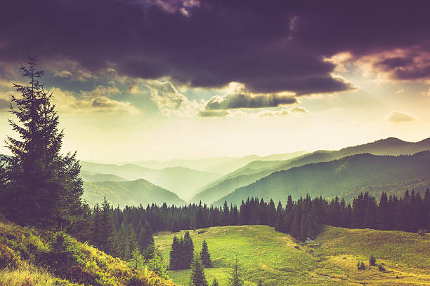 istock Misty summer mountain hills landscape. 509636476