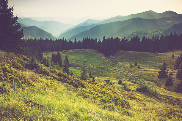misty summer mountain hills landscape. - horizontaal fotos stockfoto's en -beelden