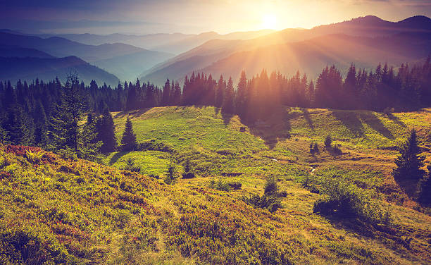 istock Beautiful summer mountain landscape at sunrise 509636832