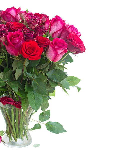 istock Border of red and pink roses 509636850