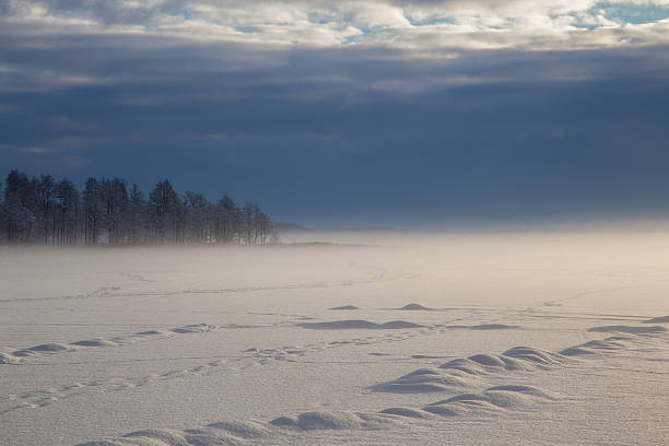 istock Mist over the lake with impressive clouds during the winter 509636998