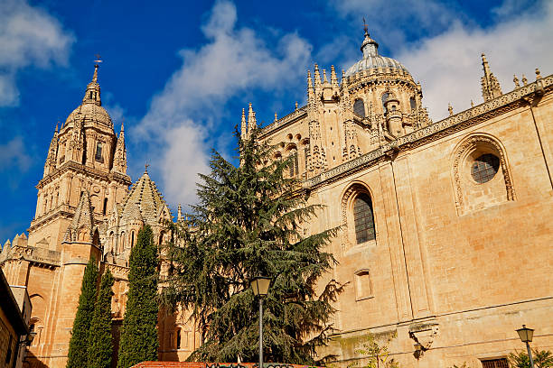 istock Salamanca Cathedral. Castile and Leon, Spain 509637440