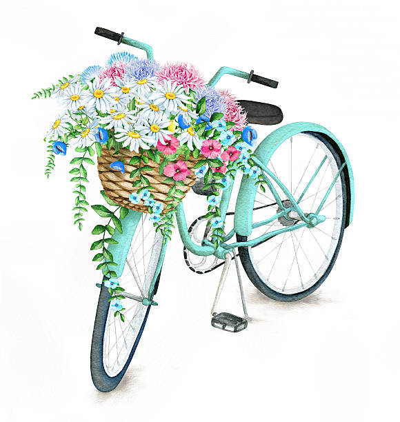 Watercolor Turquoise Bicycle With Beautiful Flower Basket Hand drawn watercolor image of turquoise bicycle isolated on white background. The author is Ekaterina Mikheeva, date of creation - February, 2016 bicycle basket stock illustrations