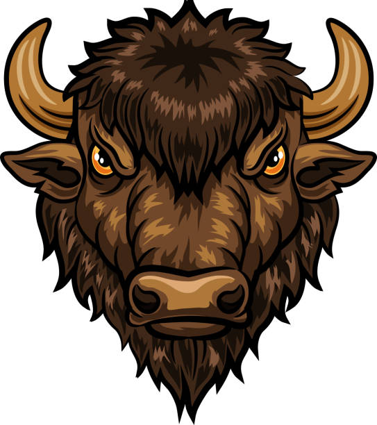 ilustracja kreskówka maskotka głowa bizon - texas longhorn cattle horned bull long stock illustrations