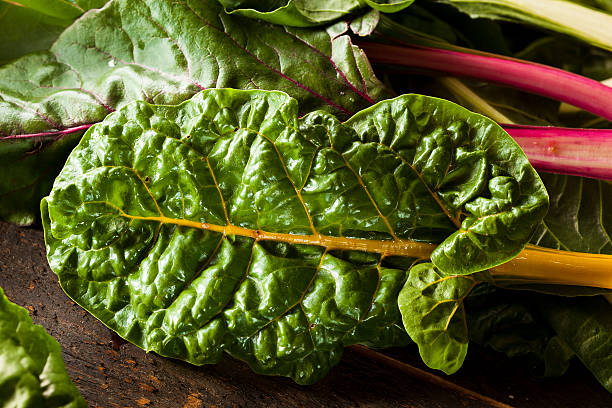 istock Raw Organic Rainbow Swiss Chard 509639141