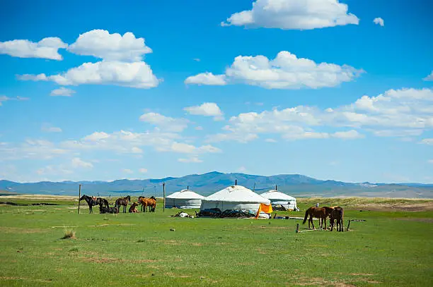 Yurts and horses in the steppe of Mongolia