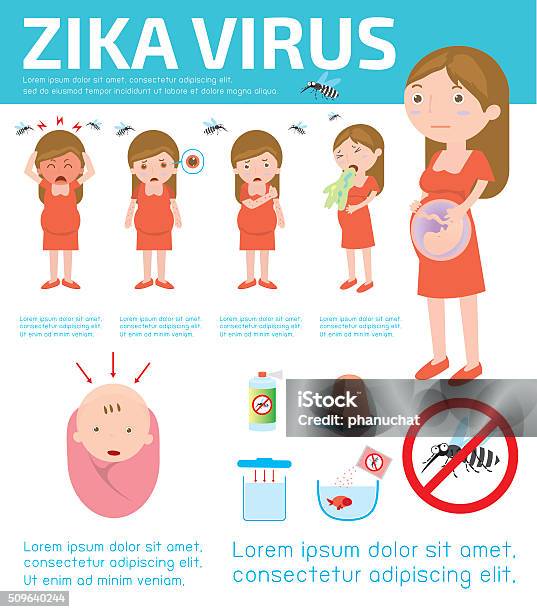 Zika Virus Infographic Stock Illustration - Download Image Now - Dengue Fever - Fever, Headache, Pregnant