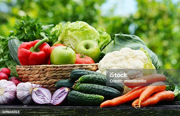 Variety Of Fresh Organic Vegetables In The Garden Stock Photo - Download Image Now - Antioxidant, Apple - Fruit, Basket