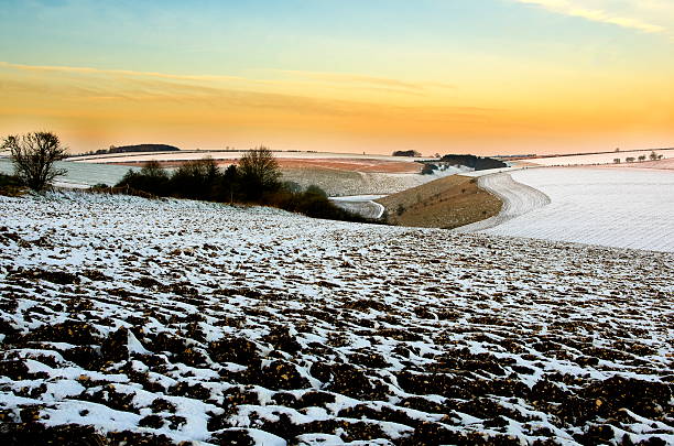 istock Early Morning on the Yorkshire Wolds 509640654