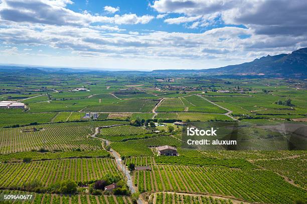 Winnice W La Rioja Hiszpania - zdjęcia stockowe i więcej obrazów Baskijska Wspólnota Autonomiczna - Baskijska Wspólnota Autonomiczna, Bez ludzi, Europa - Lokalizacja geograficzna