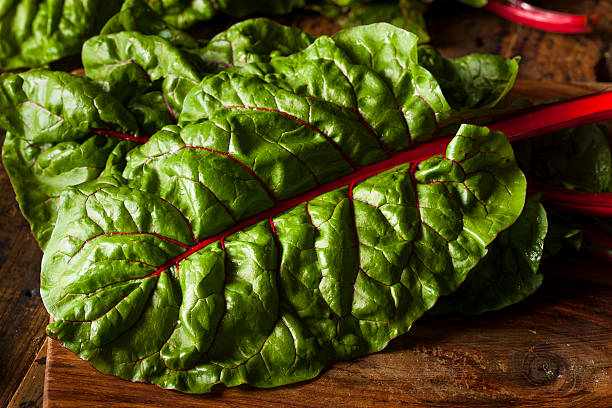 istock Raw Organic Red Swiss Chard 509641369