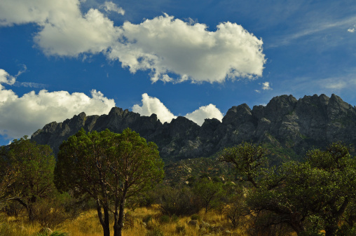 Organ Mountains taken from Aguirre Springs Campground, just outside of Las Cruces, NM